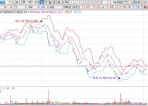 TIGER 미국S&amp;P500레버리지(합성 H).jpg